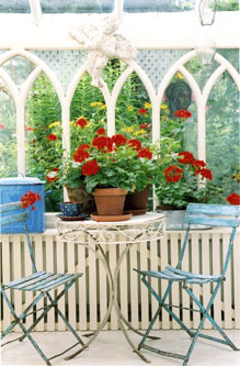 sunroom flowers